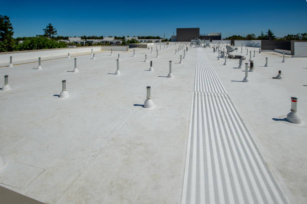 Best Skylight Installation and Repair  in Holbrook, NY
